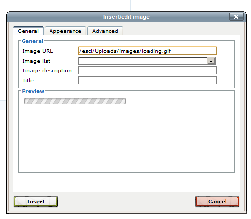 ExtJsFileManager – ExtJs based File and Image Manager plugin for TinyMCE